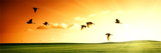 बाल कविता - सीखा हमने - परशुराम शुक्ल