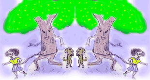 What if the trees could walk!?