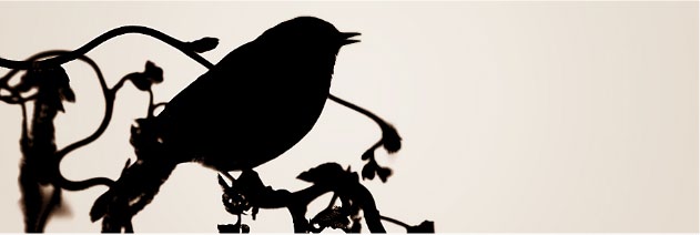 ऐसा नियम न बाँधो - आनंद शर्मा