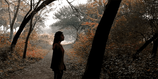 Nature coming alive in the early morning