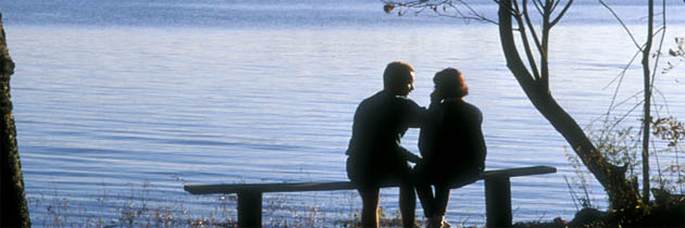 हमराही – राजीव कृष्ण सक्सेना