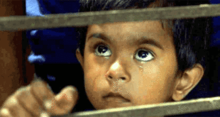 grains going to market