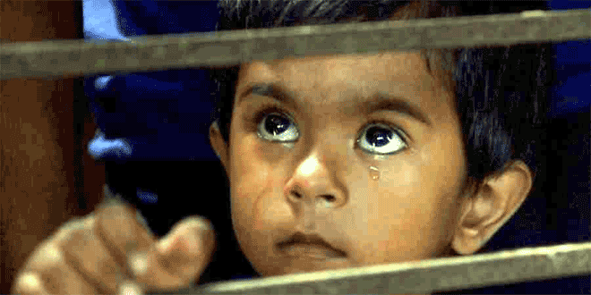 grains going to market