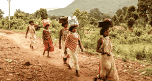 What happened to that dirt road leading to my village?