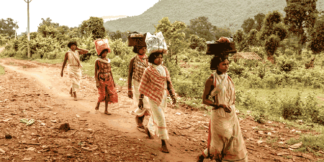 What happened to that dirt road leading to my village?