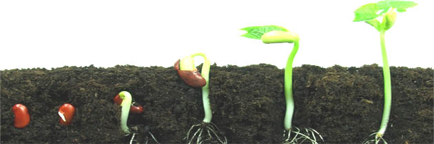 सृष्टि – सुमित्रानंदन पंत