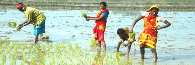 बोआई का गीत – धर्मवीर भारती
