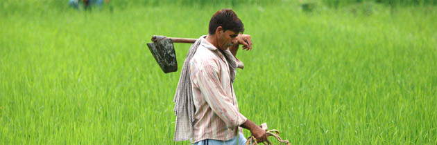 दिवा स्वप्न – राम विलास शर्मा