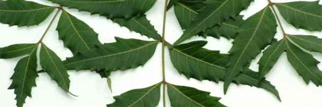 दुपहरिया – केदार नाथ सिंह