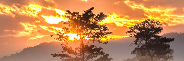 ज्योति कलश छलके – नरेंद्र शर्मा