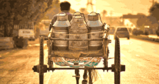 Who sings while going on the road