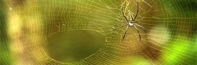 सूने घर में – सत्यनारायण