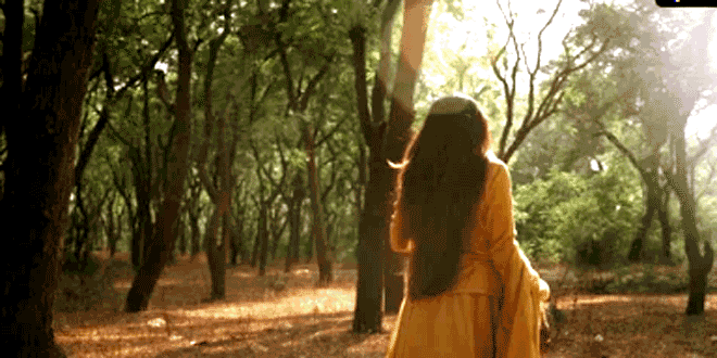 Let the path remain unfamiliar...