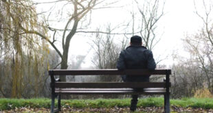 पतझड़ की शाम