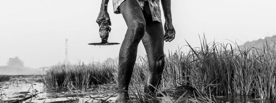 किसान आत्महत्याओं की वास्तविकता