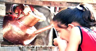 Things we are losing in Indian society