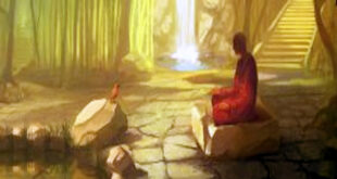 My experiences with Dhyan