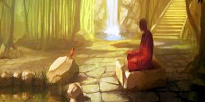 My experiences with Dhyan