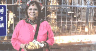 Arya Samaj and Sanatani traditions
